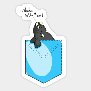 Whale in your pocket - Southern Right Whale Sticker